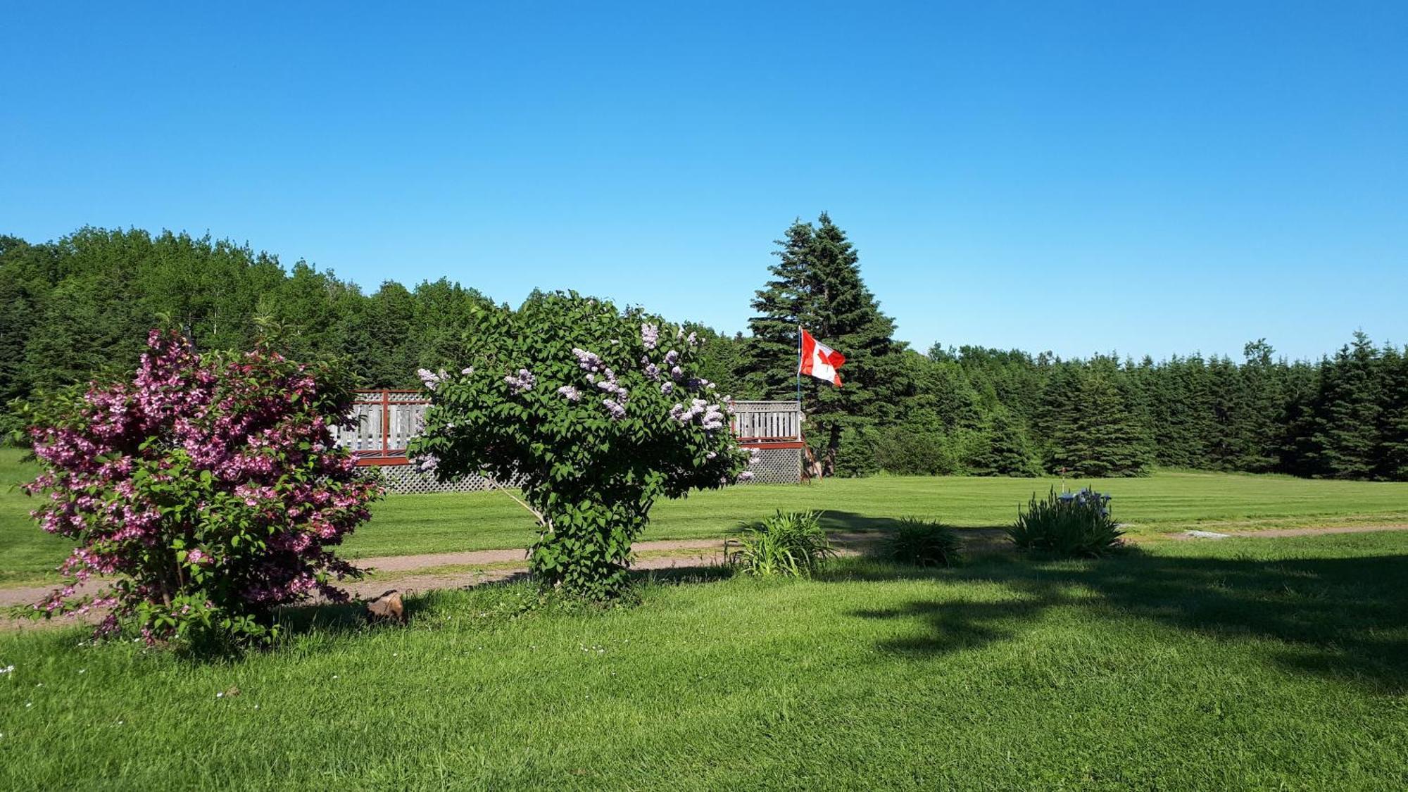 Rustico Acres Cottages North Rustico Buitenkant foto